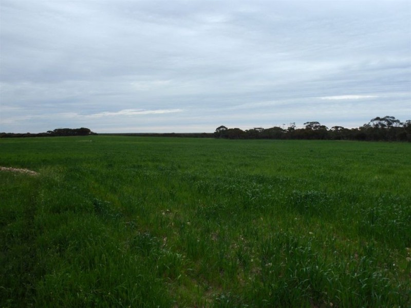 3706 Port Kenny Road, Minnipa SA 5654