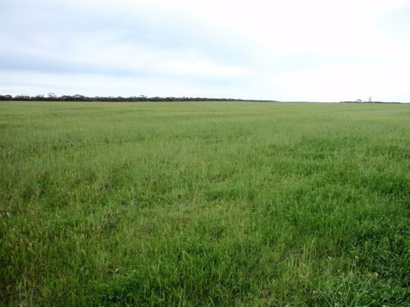 3706 Port Kenny Road, Minnipa SA 5654