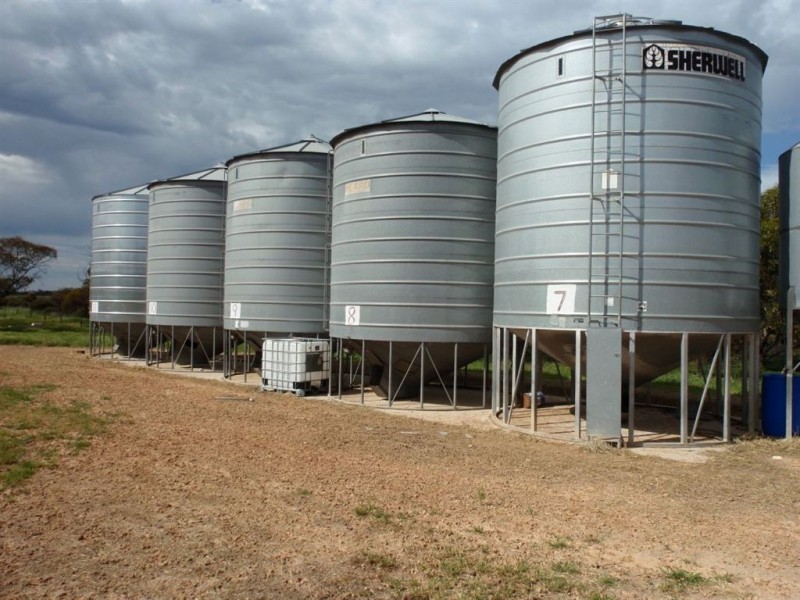 431 Edmonds Road, Wudinna SA 5652