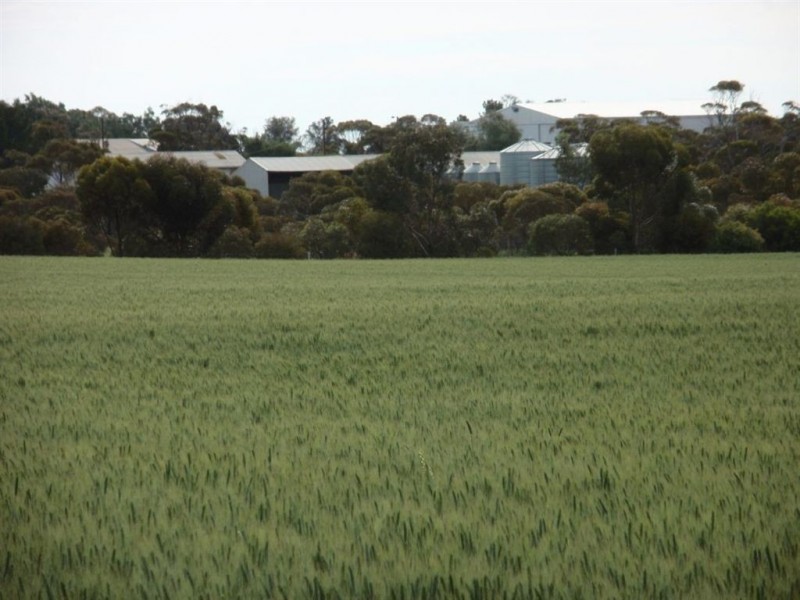 431 Edmonds Road, Wudinna SA 5652