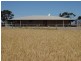 2235 Mt Damper Road, Minnipa SA 5654