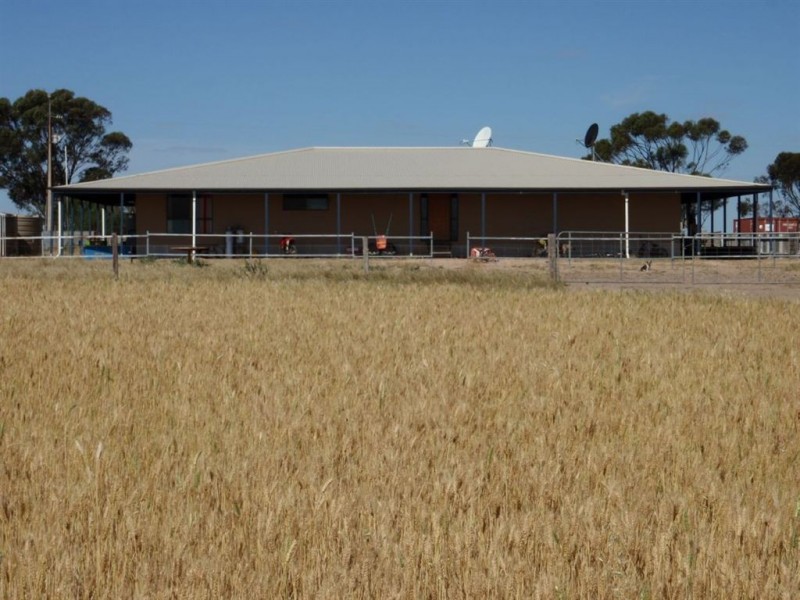 2235 Mt Damper Road, Minnipa SA 5654