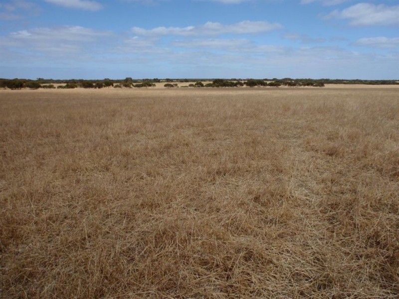 2235 Mt Damper Road, Minnipa SA 5654