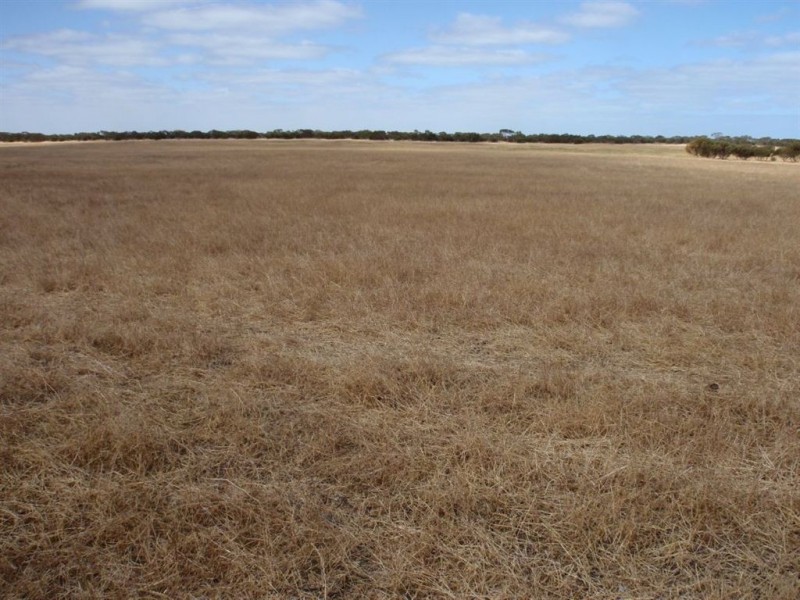 2235 Mt Damper Road, Minnipa SA 5654