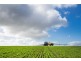 253 Carrick Road, Warramboo SA 5650