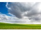 253 Carrick Road, Warramboo SA 5650