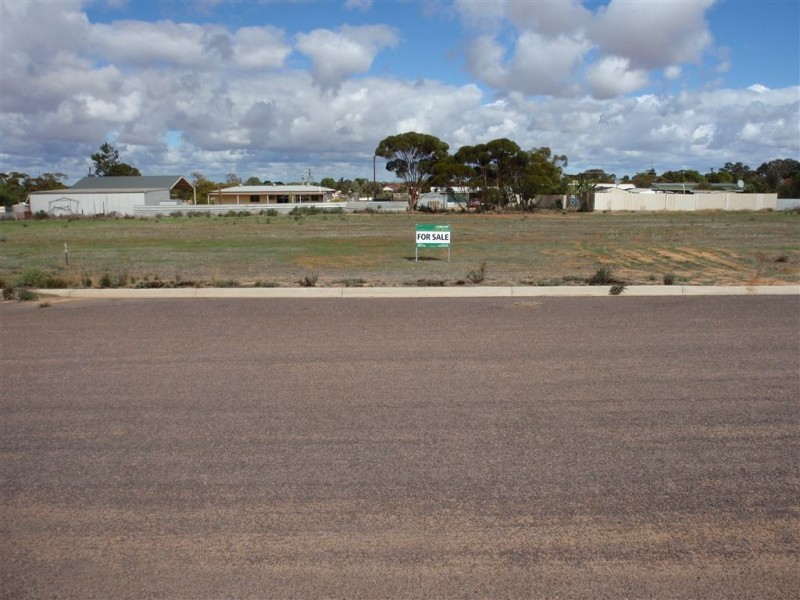 26 Woodrup Road, Wudinna SA 5652