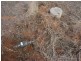 26 Woodrup Road, Wudinna SA 5652