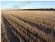 14965 Tod Highway, Warramboo SA 5650