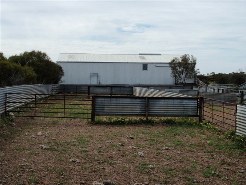 4186 Pt Kenny Road, Minnipa SA 5654