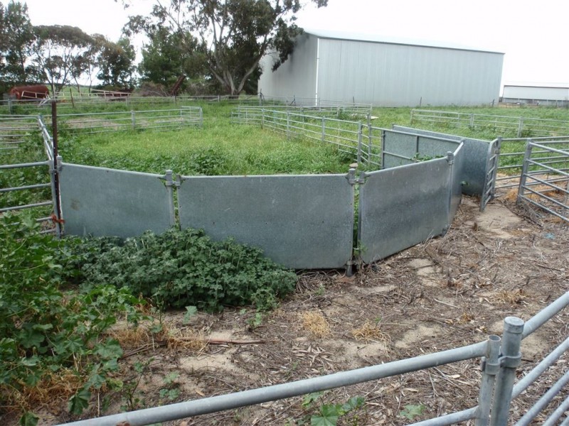 642 Lally Road, Lock SA 5633