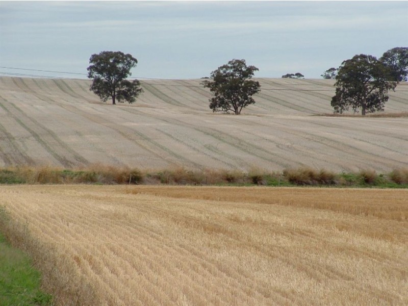 1 Saddleworth Road, Auburn SA 5451