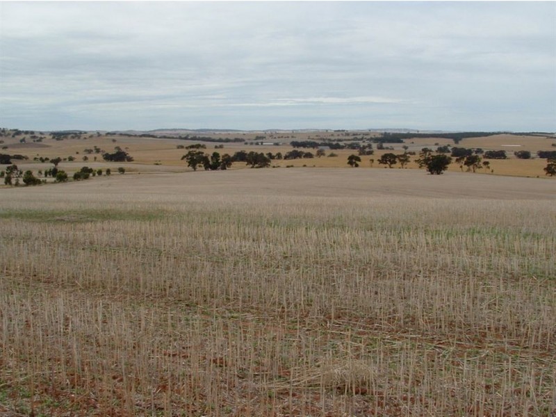 1 Saddleworth Road, Auburn SA 5451