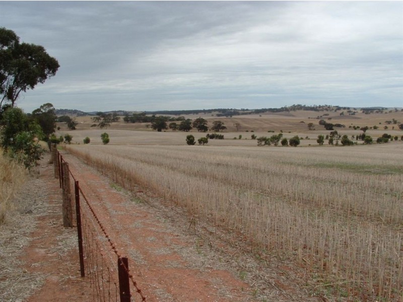 1 Saddleworth Road, Auburn SA 5451