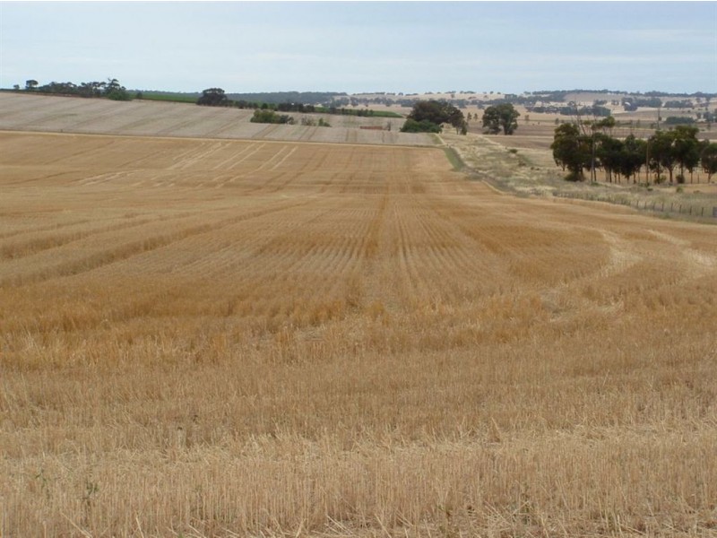 1 Saddleworth Road, Auburn SA 5451