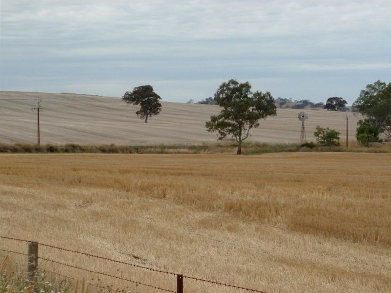 1 Saddleworth Road, Auburn SA 5451