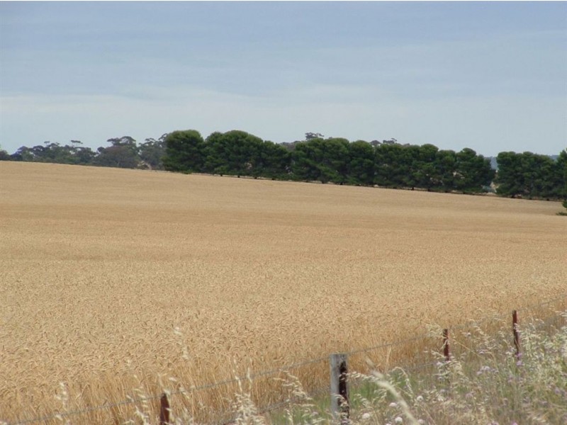 2 Saddleworth Road, Auburn SA 5451