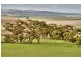 Lot 502 Range Road, Hamley Bridge SA 5401
