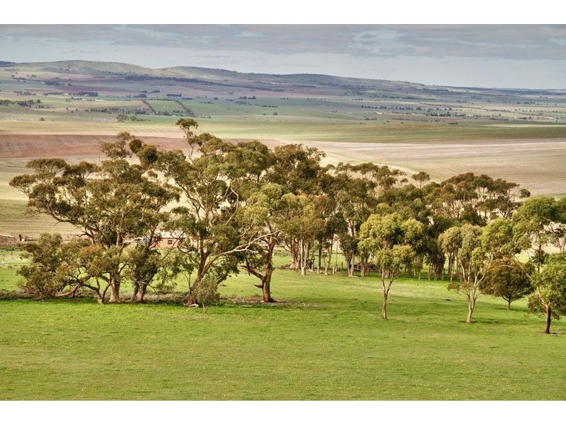 Lot 502 Range Road, Hamley Bridge SA 5401