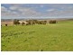 Lot 502 Range Road, Hamley Bridge SA 5401
