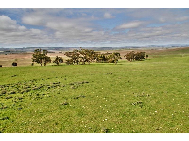 Lot 502 Range Road, Hamley Bridge SA 5401