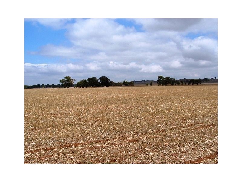 1 Tothill Belt Road, Marrabel SA 5413