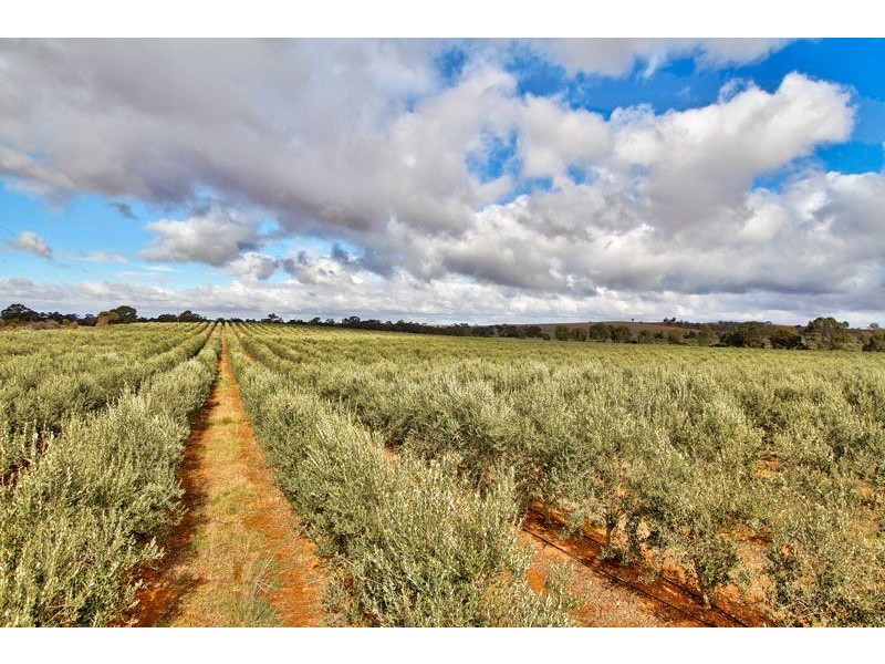 Lot 2 Macaw Creek Road, Riverton SA 5412