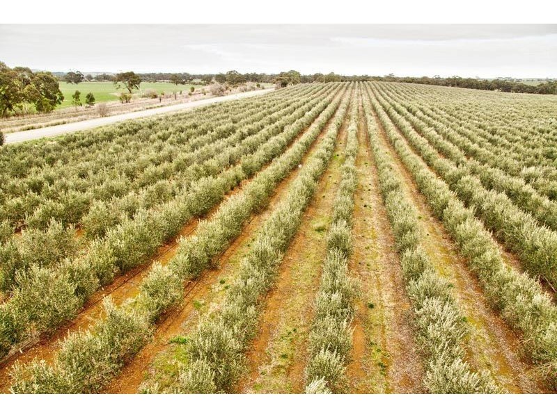 Lot 2 Macaw Creek Road, Riverton SA 5412