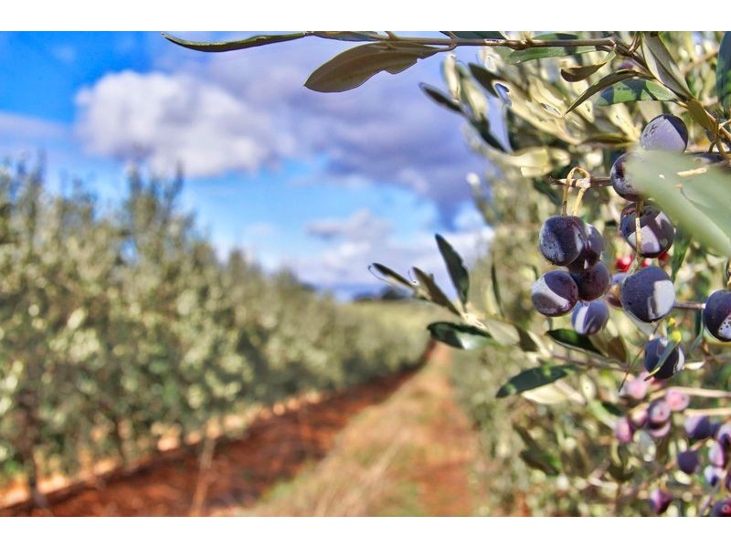 Lot 2 Macaw Creek Road, Riverton SA 5412