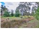 Lot 2 Macaw Creek Road, Riverton SA 5412