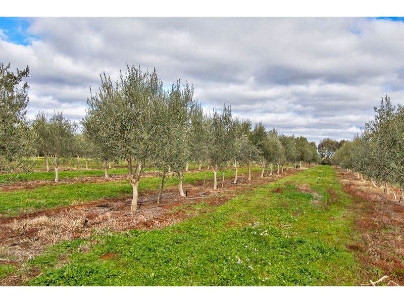 Lot 2 Macaw Creek Road, Riverton SA 5412