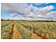 Lot 2 Macaw Creek Road, Riverton SA 5412