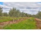 Lot 2 Macaw Creek Road, Riverton SA 5412