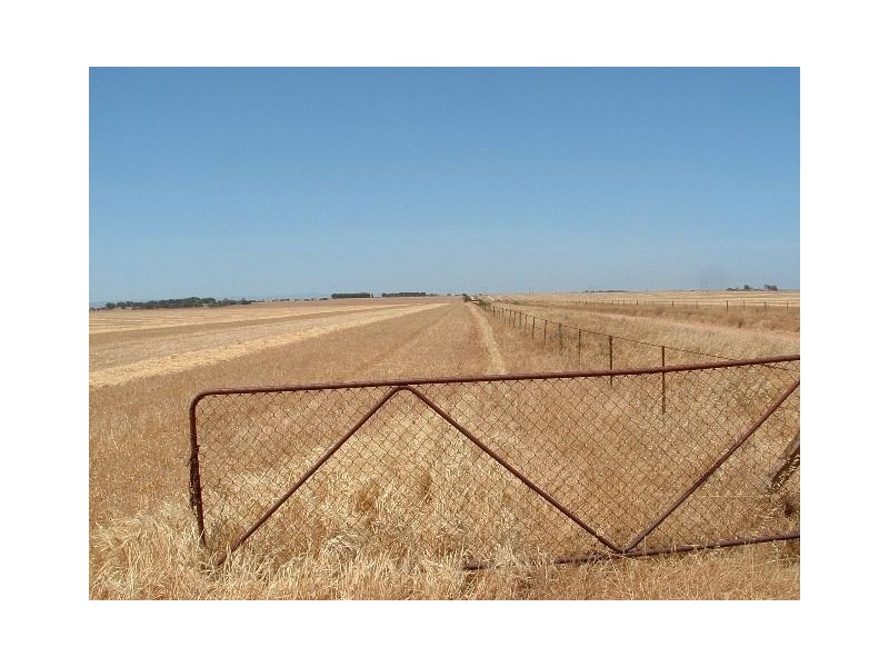 1 Stevens Road, Mallala SA 5502