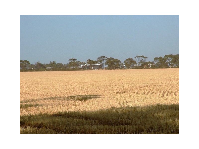 1 Stevens Road, Mallala SA 5502