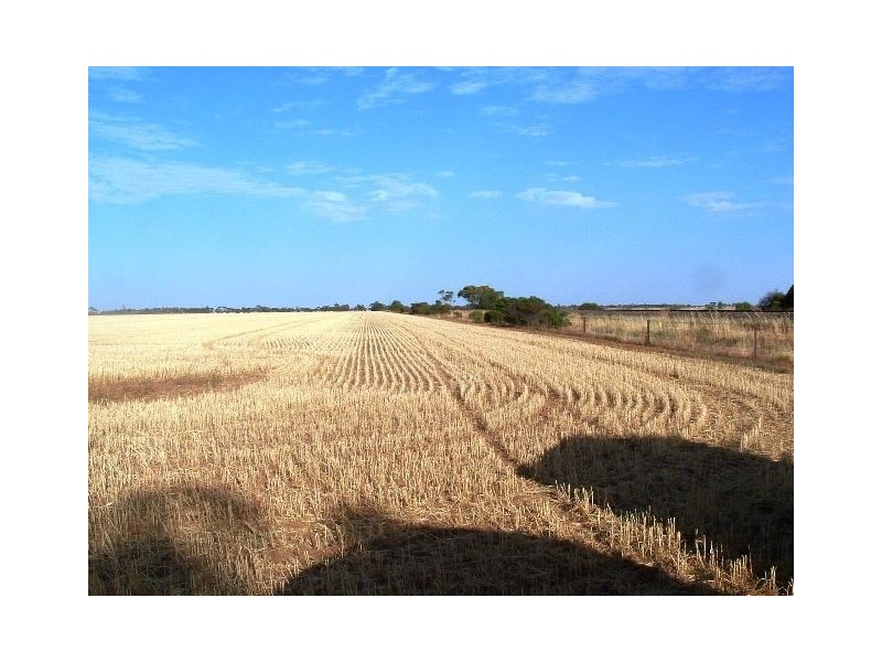 1 Stevens Road, Mallala SA 5502