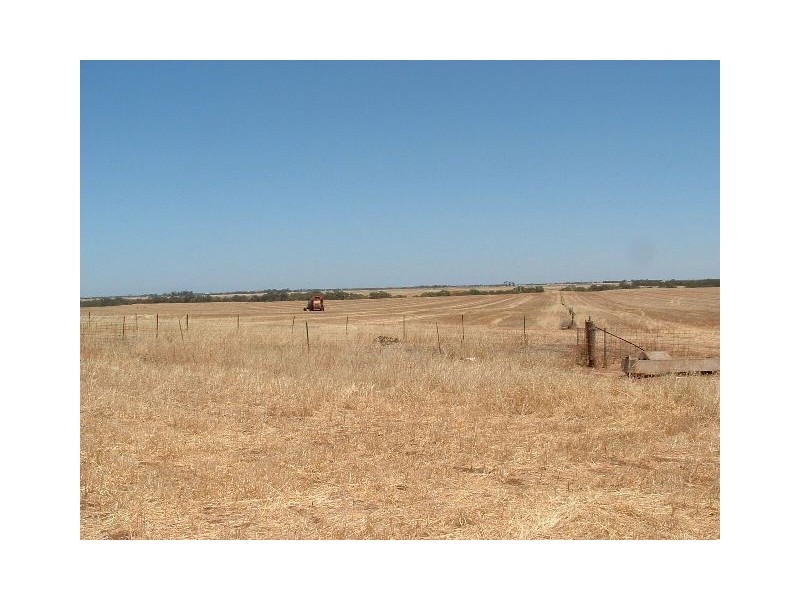 1 Stevens Road, Mallala SA 5502