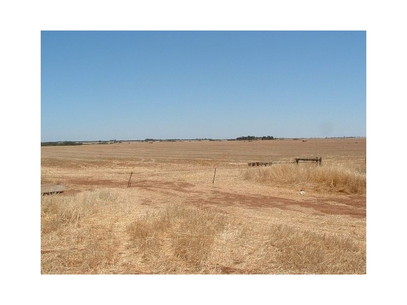 1 Stevens Road, Mallala SA 5502