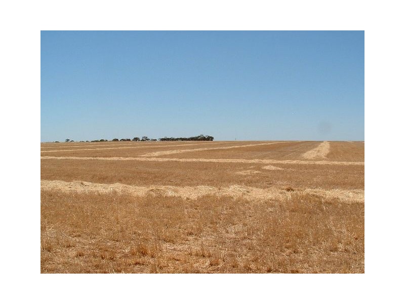 1 Stevens Road, Mallala SA 5502
