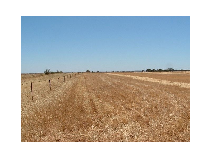 1 Stevens Road, Mallala SA 5502