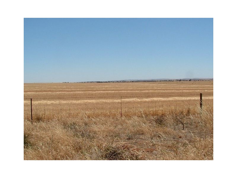 1 Stevens Road, Mallala SA 5502