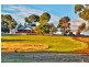 Lot 50 Main North Road, Auburn SA 5451