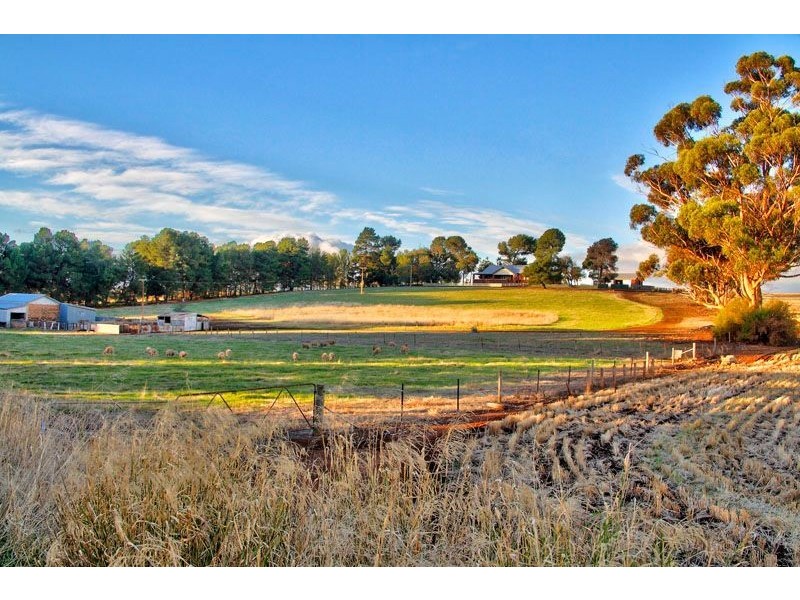 Lot 50 Main North Road, Auburn SA 5451
