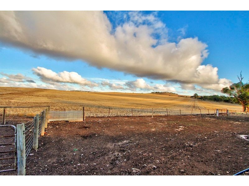 Lot 50 Main North Road, Auburn SA 5451