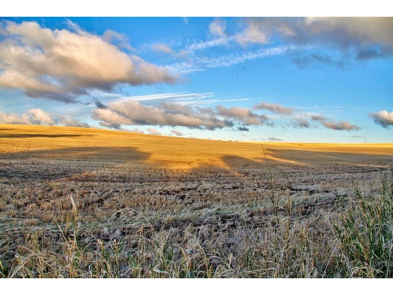 Lot 50 Main North Road, Auburn SA 5451