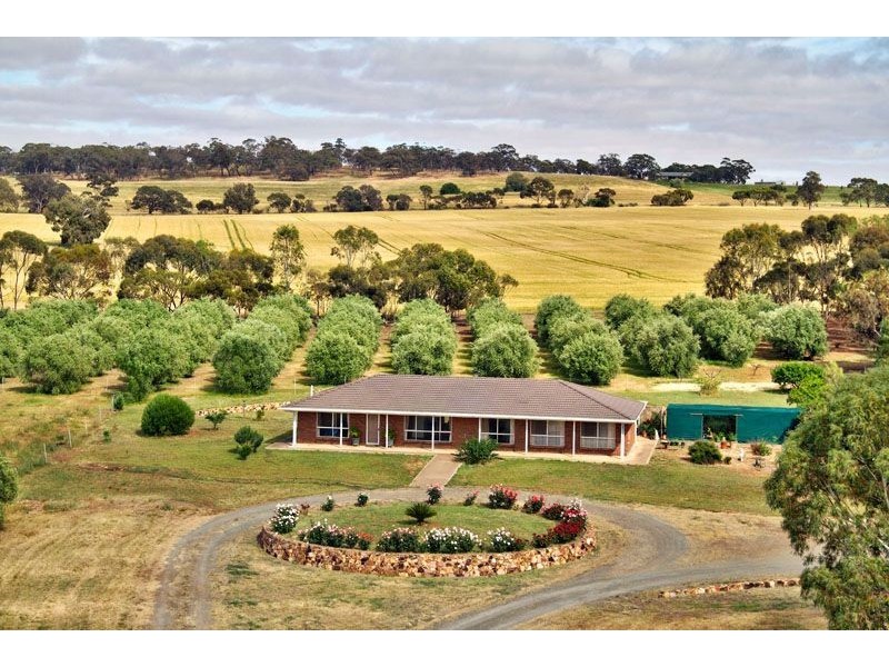 17 Glynn Street, Riverton SA 5412