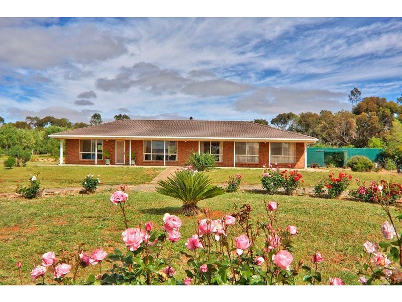 17 Glynn Street, Riverton SA 5412