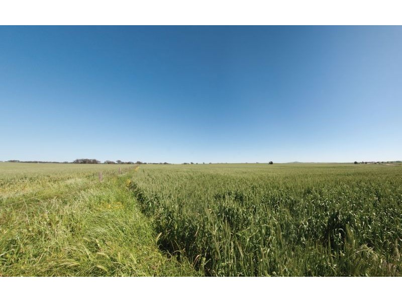 1 Old Burra Road, Manoora SA 5414