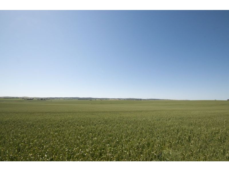 1 Old Burra Road, Manoora SA 5414