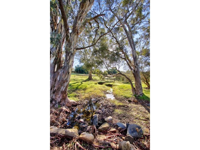 Lot 11 Washington Road, Riverton SA 5412